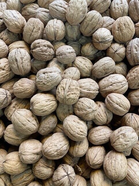 Yerli Kabuklu Ceviz 1 Kg