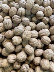 Yerli Kabuklu Ceviz 1 Kg